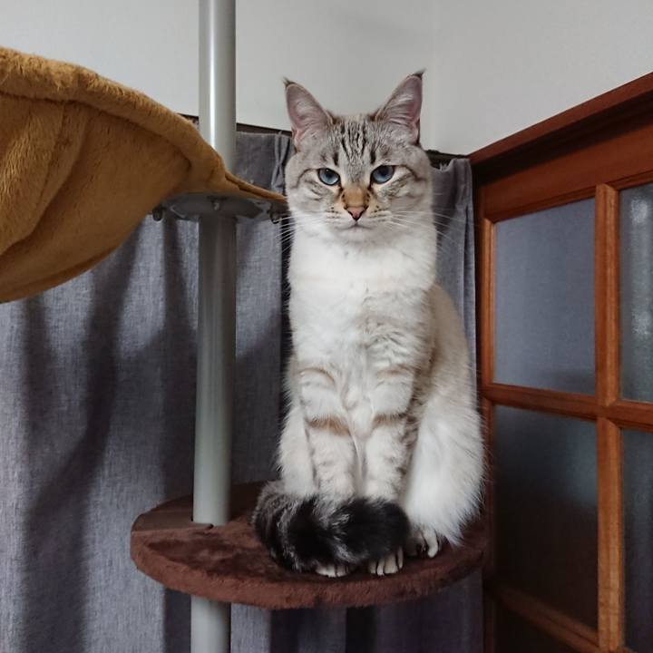 F7ae797a 107f 4f12 ad7a 389334c54bd3 1611745174763