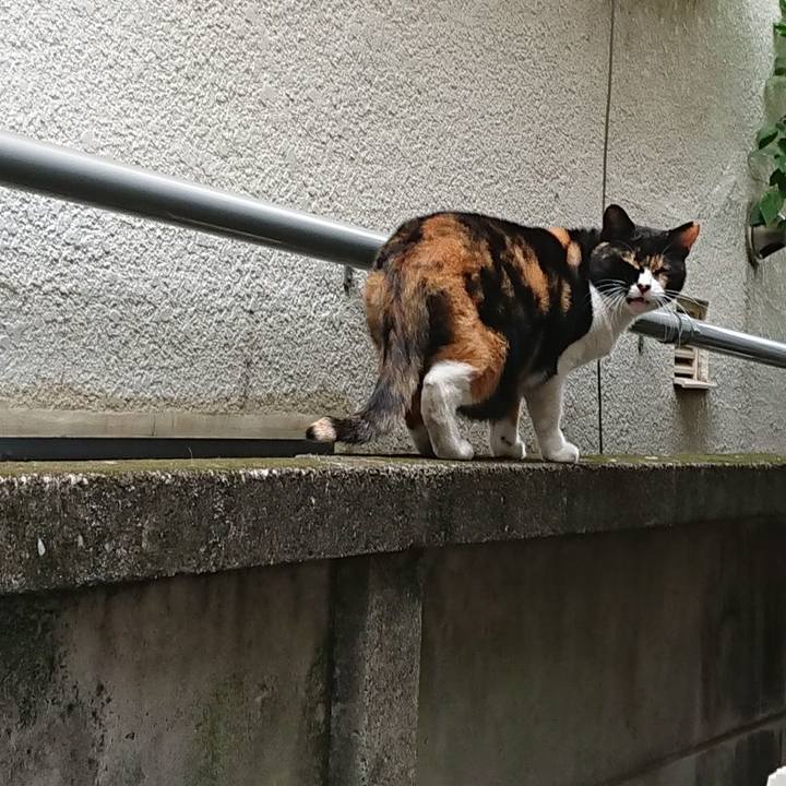 F7ae81b5 d482 4827 bb88 eb967a330704 1632630737251