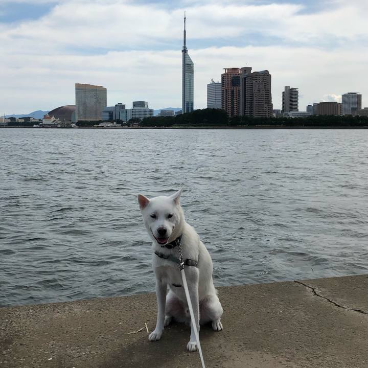 F7ae9b2c cdf9 4355 b0d2 e762b0dcddec 1600569339094