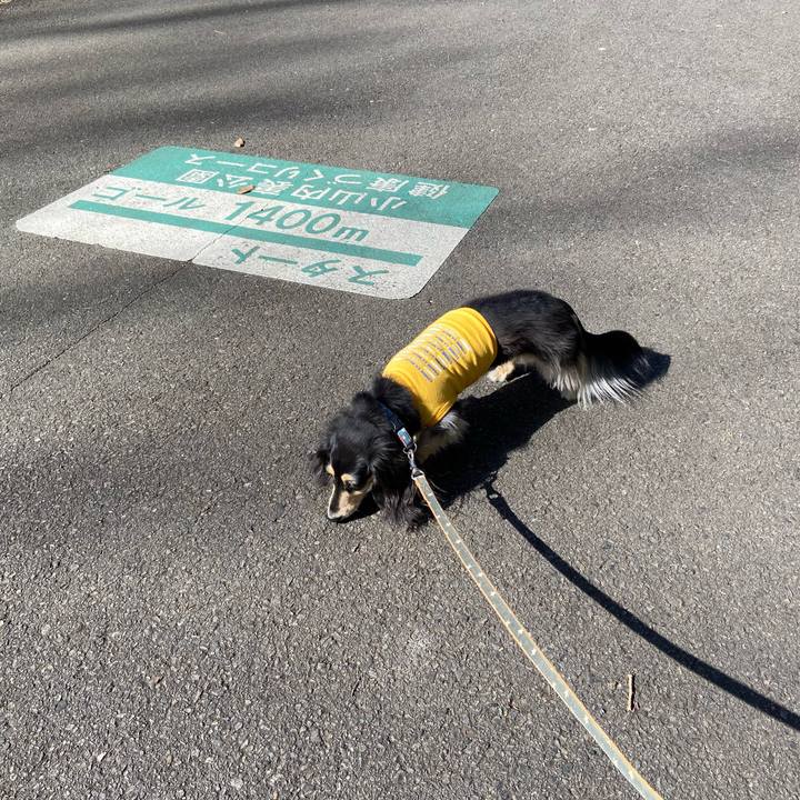 F7aed343 0398 40e4 8668 69e07699cade 1771477356759