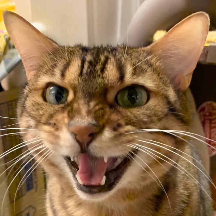 F7aef2de 9575 465e b0ce 8e1fca45d361 1579906550548