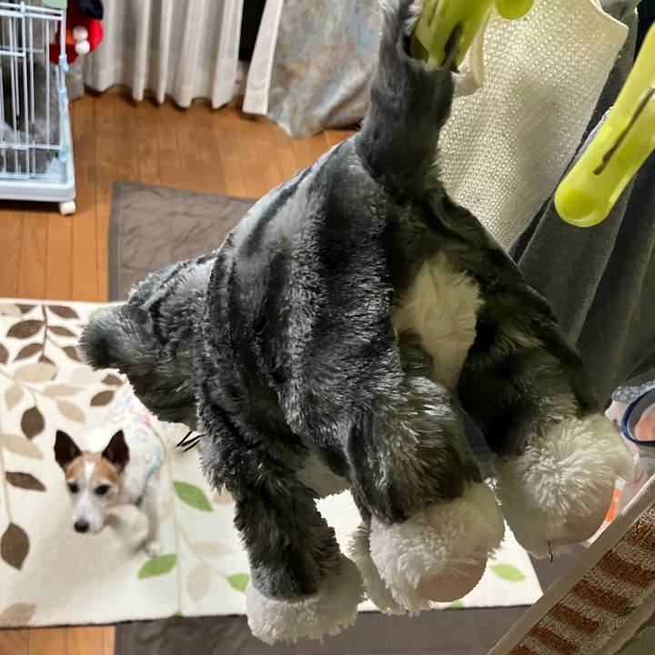 F7aef6b1 b274 4467 9e3c 29794de4b12c 1729386474691