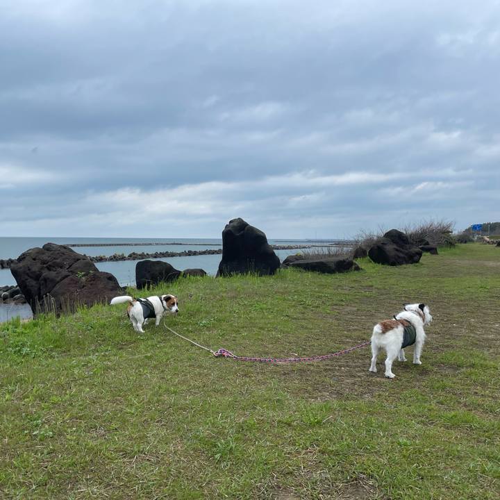 F7af0817 74c6 48d1 9277 8bc5e1916aa3 1746315020615