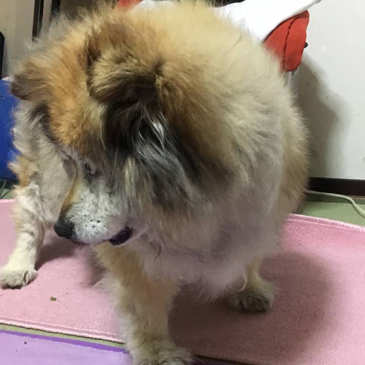 F7af0ad2 b1f4 4075 90d3 a0078a28763b 1589842410159