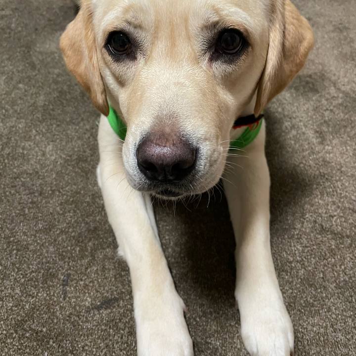 F7af148c 556c 4d2b 8c3f c59706e9df70 1620908464561