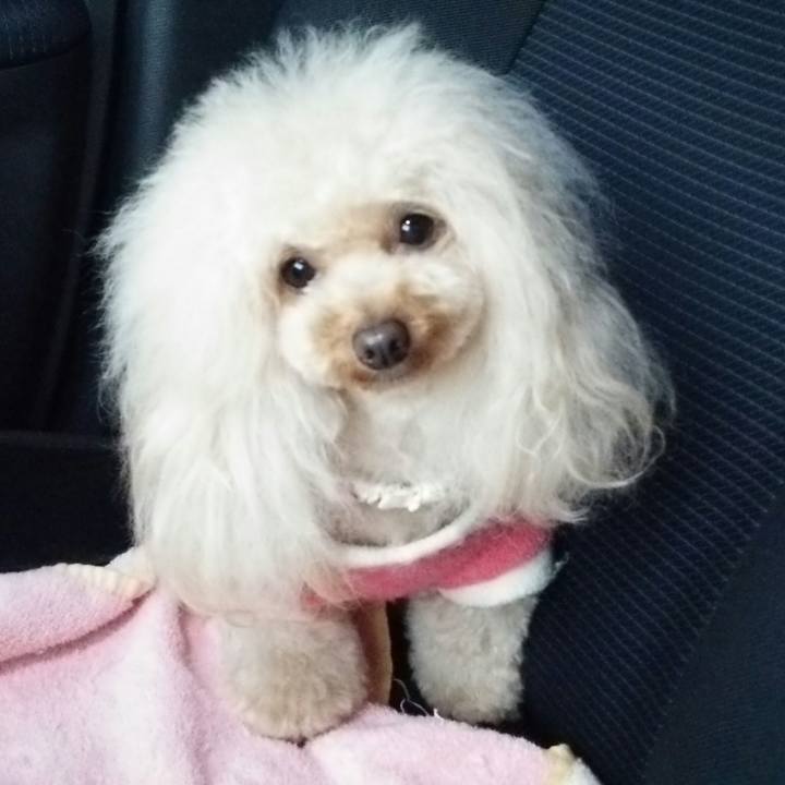 F7af31d7 2f0c 4bff 827a 1a4306dfe381 1514883953530