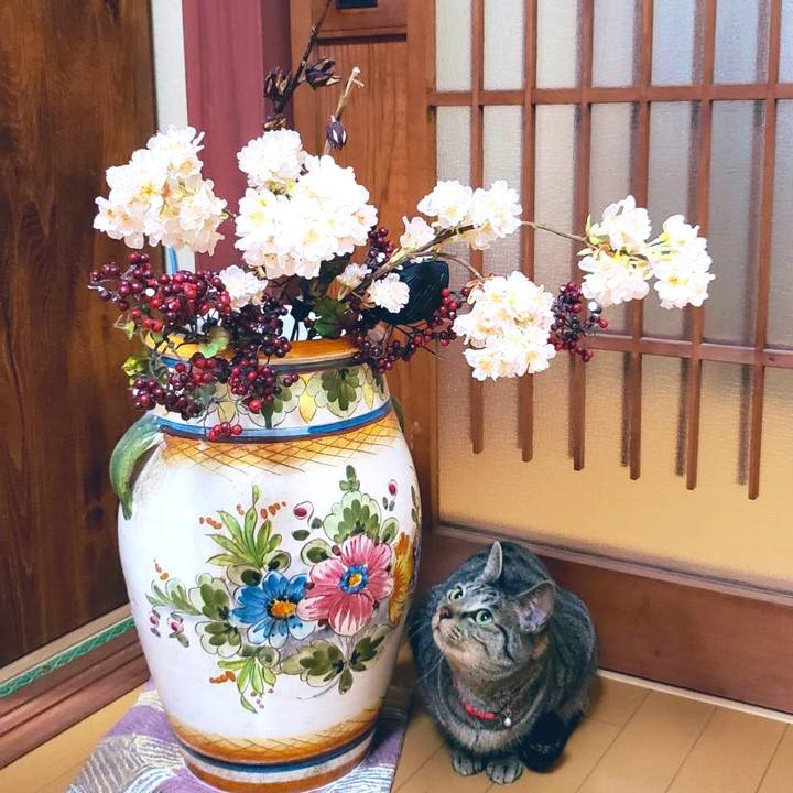 F7af372f 5822 48e8 857f a770edc47d11 1583847369837