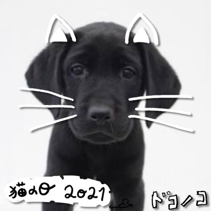 F7afb870 7242 413c bdc6 223cd2dff62b 1613976869721