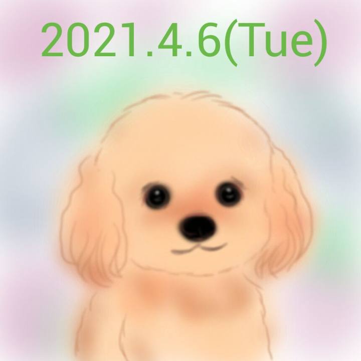 F7afef6e 19fe 49f5 946c 3d1244bca243 1617717391139