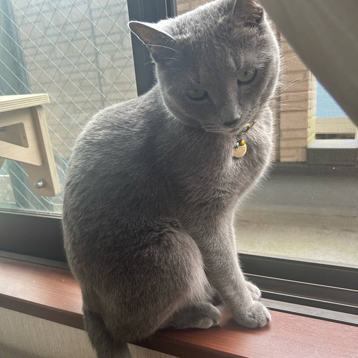 F7b027a8 18dc 4db0 9ebd 93baa33e8164 1717314047098