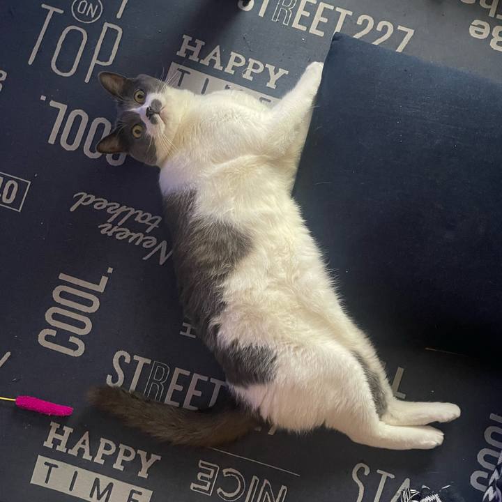 F7b03024 abd0 4d8e ac41 c220c8a9c27f 1721170330781