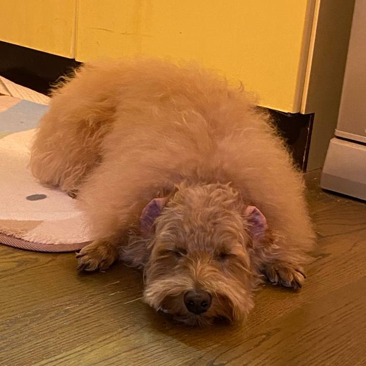 F7b0482d 1be6 4e4f bf33 e78064a9bb05 1636282141540