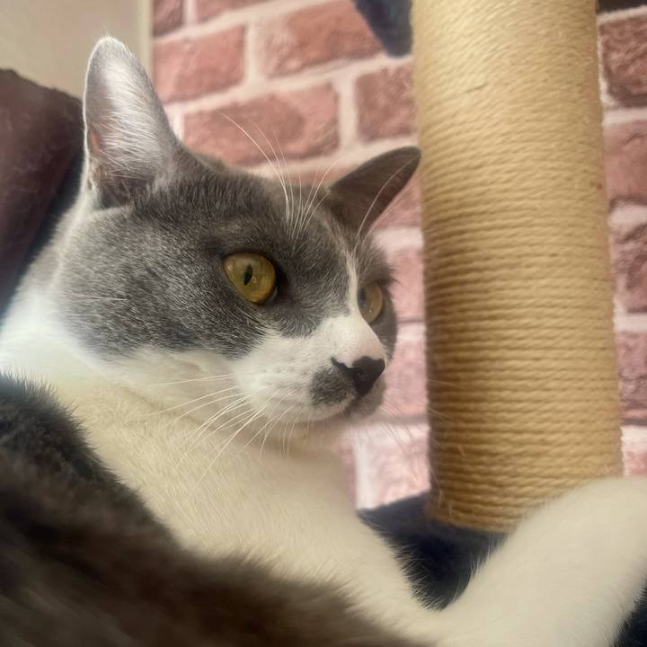 F7b06dc2 94a6 4683 a18d c49d6d6ad02c 1636679448784