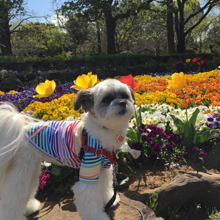 F7b09a5f 9f9e 449d 9292 aab0c25dbf6c 1523167949889