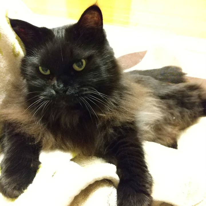 F7b0bdaf b7ef 4505 8081 92cb5f74a78a 1604316675367