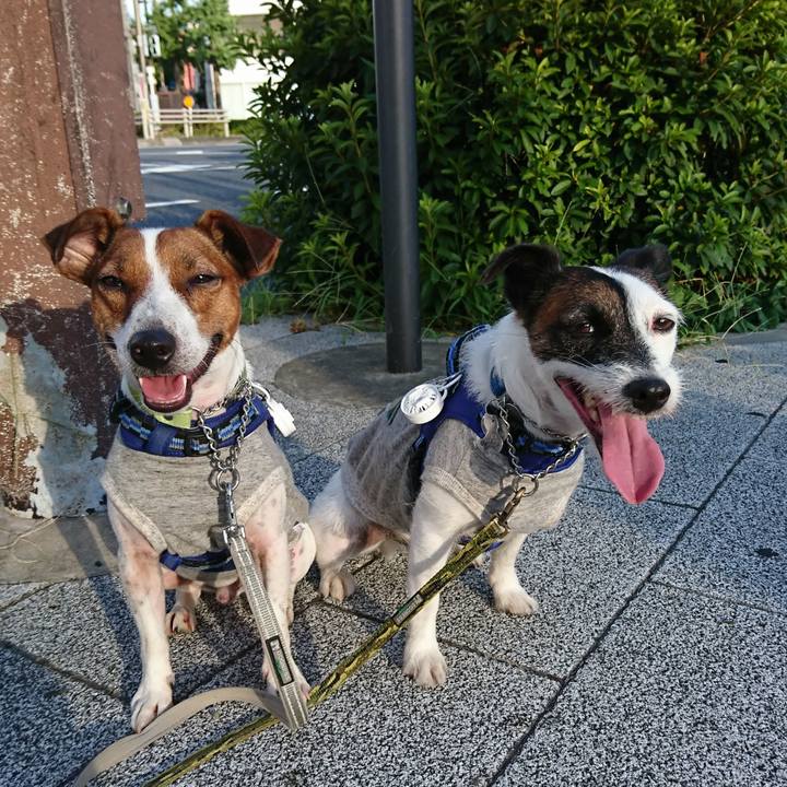 F7b0dc1d de61 4e10 9ba4 3714aef61c31 1565039931950