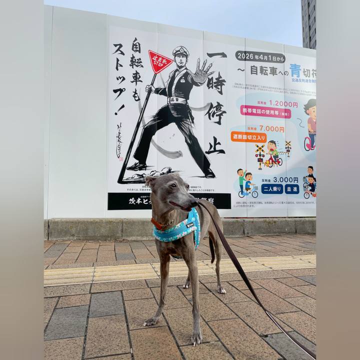 F7b0f935 275a 4428 a43e 3162f7921711 1759923382849