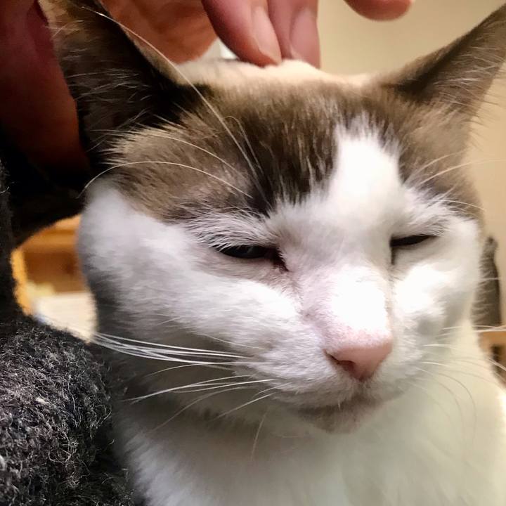 F7b0fb7b 11c9 4d2e a81e f8d49126c7b3 1609159866099