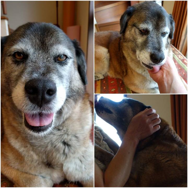 F7b118a3 041f 4ac7 8d1e 260186ab6a8d 1526627195178