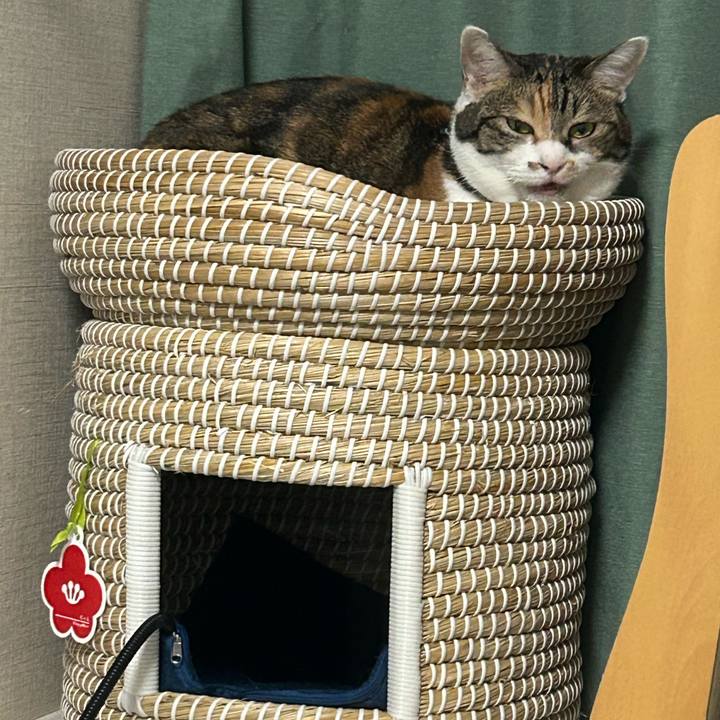 F7b1266f 7e4f 4f52 ab59 eae2ce42cc81 1761828608959