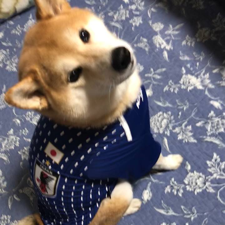 F7b1292f fb57 46fb afd1 4d48a53c4953 1570710918911