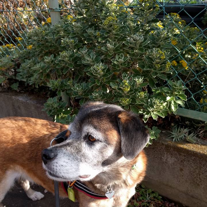 F7b13ea5 f6e4 41a7 9084 c1625252425d 1545439440297