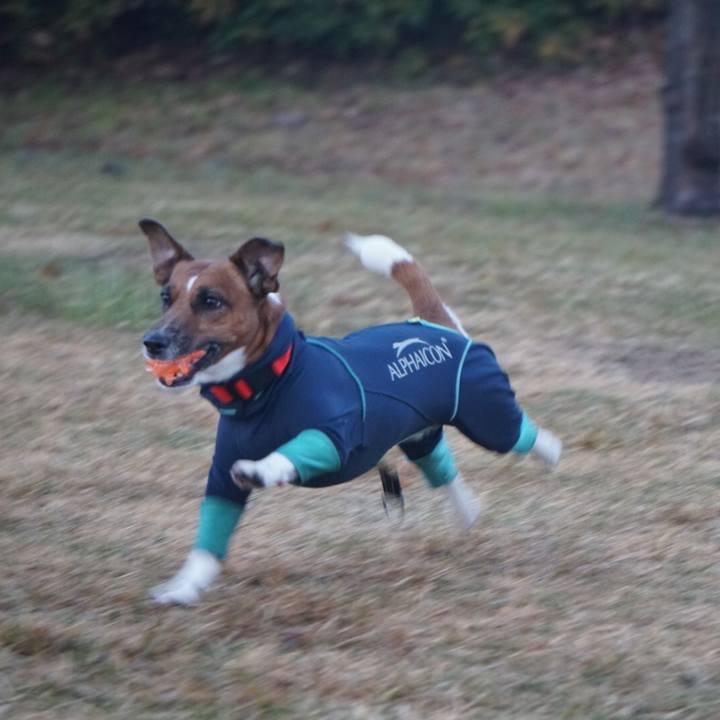 F7b1605c 08b4 4b4d a5fb 5370da365804 1514159428713