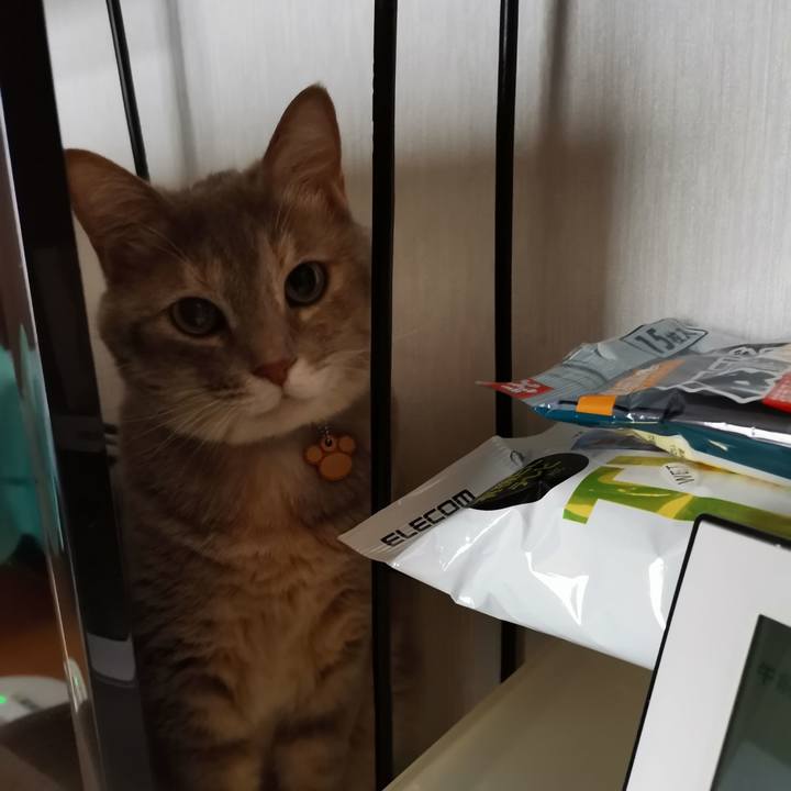 F7b16e38 9132 4cb5 ac0a cbdcf232b5ce 1599105825298