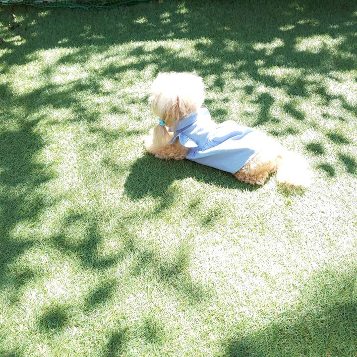 F7b17416 c69e 4a43 afc4 117c281ee4d0 1569399363231