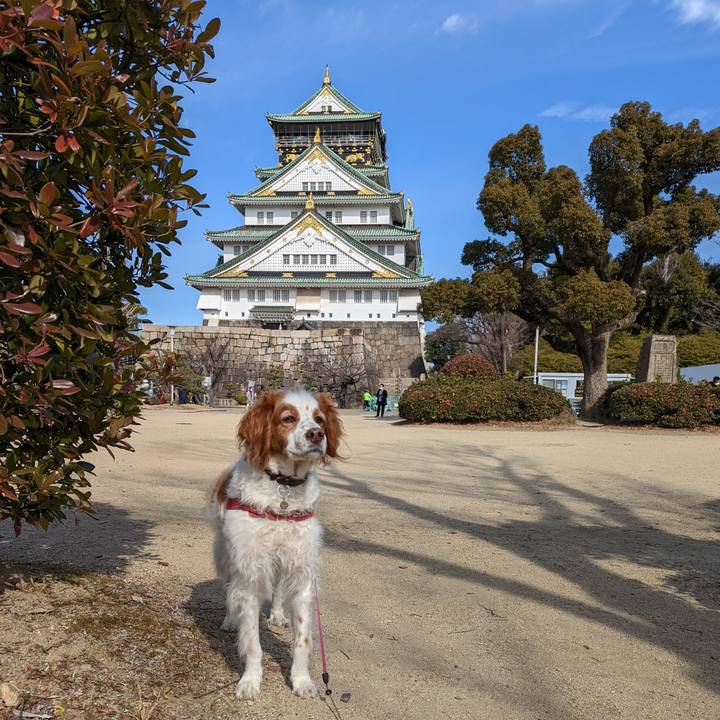 F7b17c50 eeb4 4d8c 8ffe 4f2da11bcbef 1644665841359