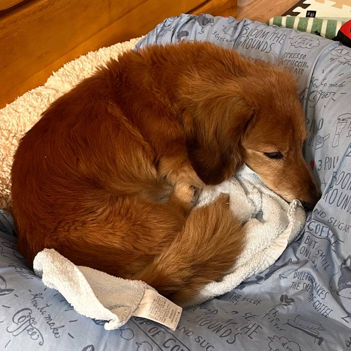 F7b1d76e ec43 49db 8792 c8b8a313b60a 1651929788010