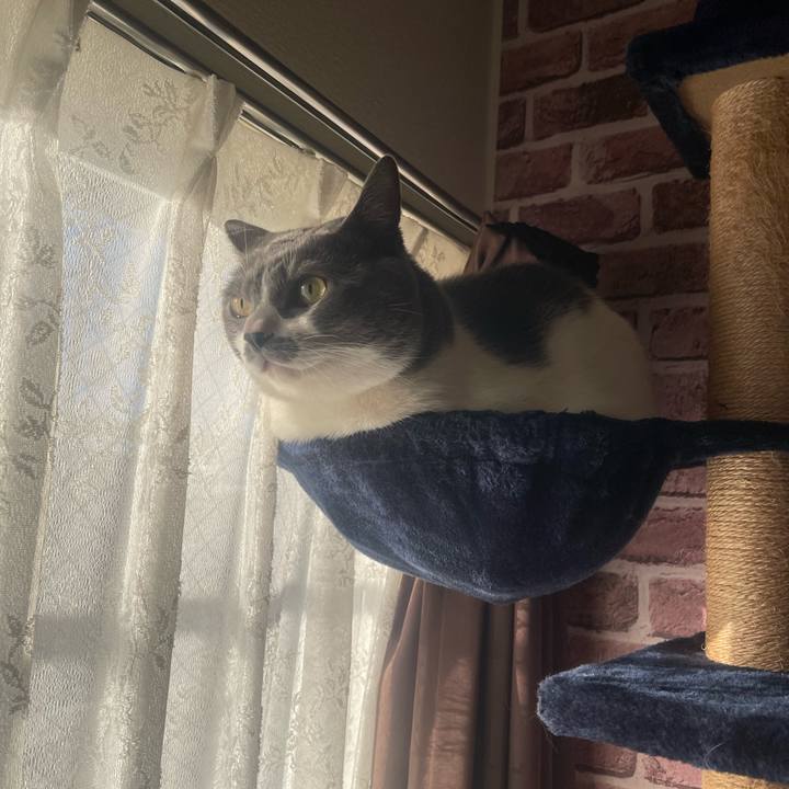 F7b1e794 8bba 4415 9e8b 72b763dee842 1734563315807