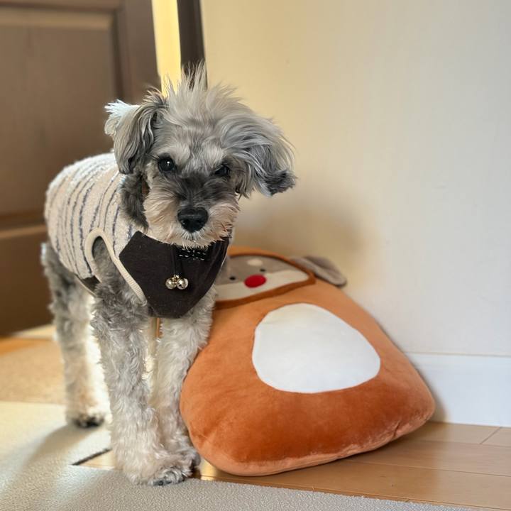 F7b20bcd bc9b 44d4 bb14 125d2112ce5f 1771418873140