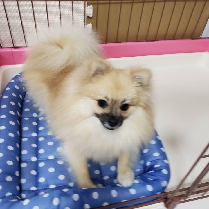 F7b21c0d ecdd 42ea 831c 03dd23640aed 1629036627671