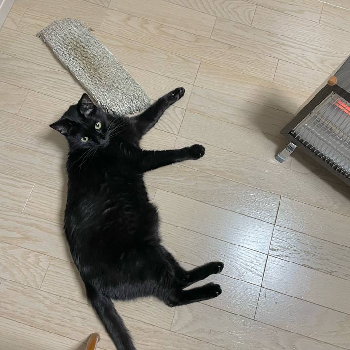 F7b23b58 655c 4443 857a e965b7dfde24 1642600818093