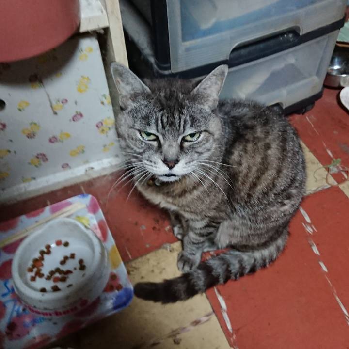 F7b251bb 80f3 4974 a6ca 009a22ff0b84 1569617609600