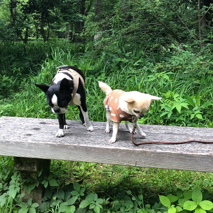 F7b2dc78 2a0c 4e50 9bf5 b3dcba8ae02d 1654048326813