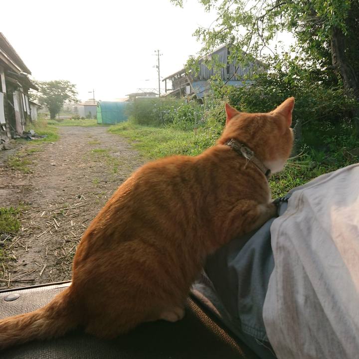 F7b2e6c5 7aa0 431e 8019 754ca8b7376e 1596577065168