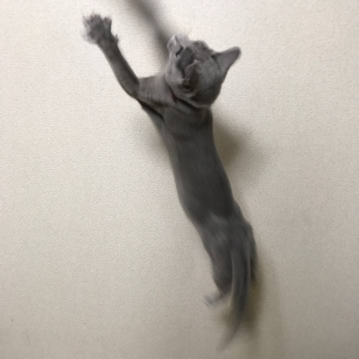 F7b311e6 7c0a 4e43 ba62 0ac6086bfebc 1519657355545