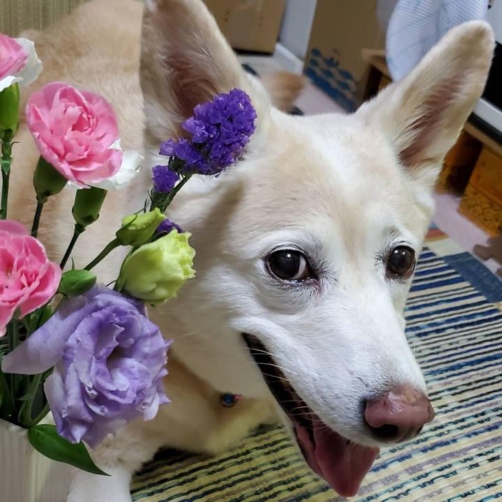 F7b3257f 4145 461b 9f1c 07524986e4cd 1628646238987