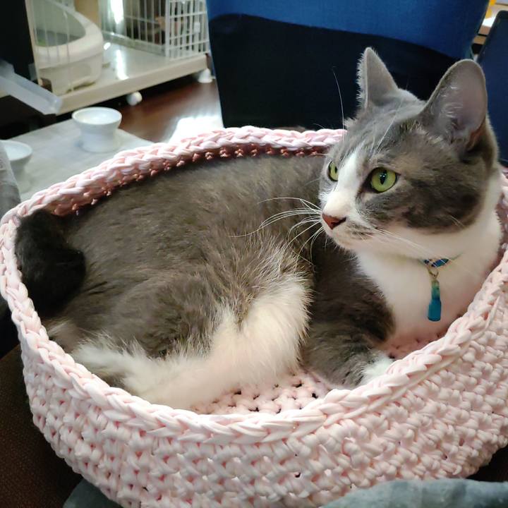 F7b35a6c e1b8 4bc7 88d4 3e314b8c88bf 1663482266725