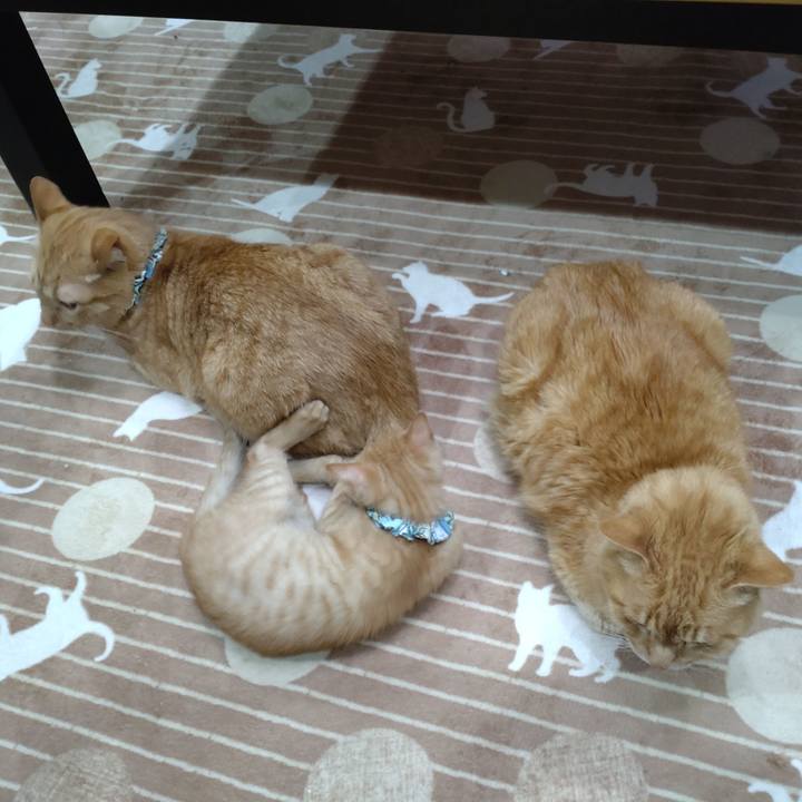 F7b35b69 e66b 4c9f bfd9 b1fc25fa9fc0 1670926821251