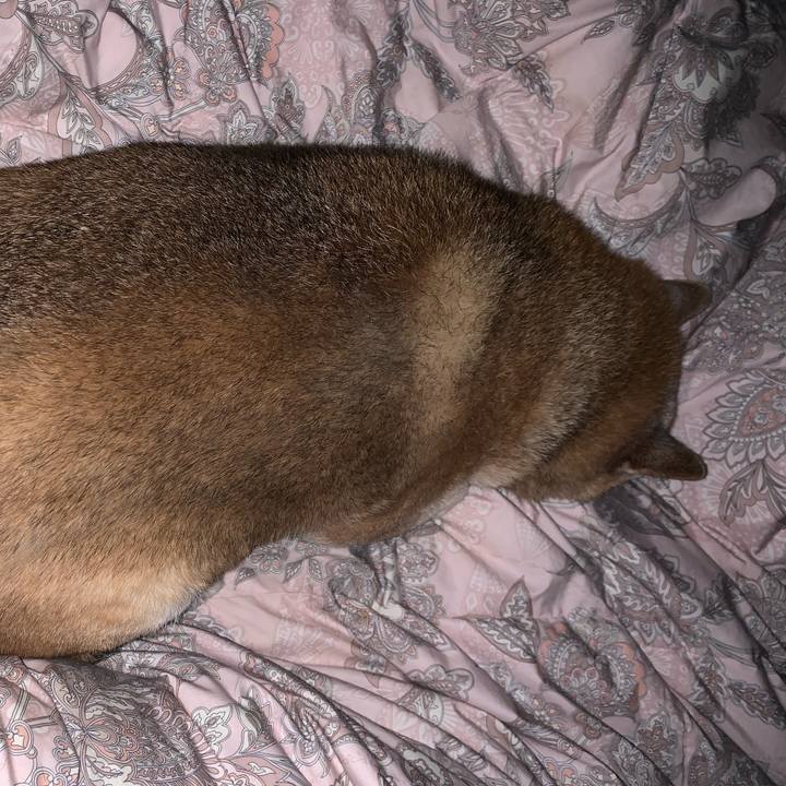 F7b37022 bd61 468b abef cdc7f047c6cb 1585609166623