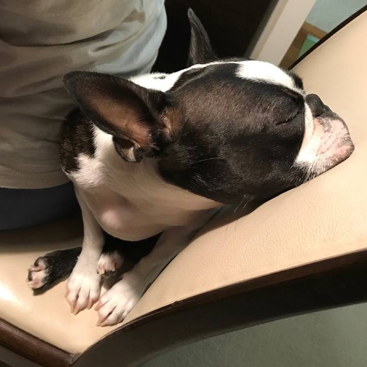 F7b3a6ad 8315 4847 b5a5 975130ee1de7 1600426474258