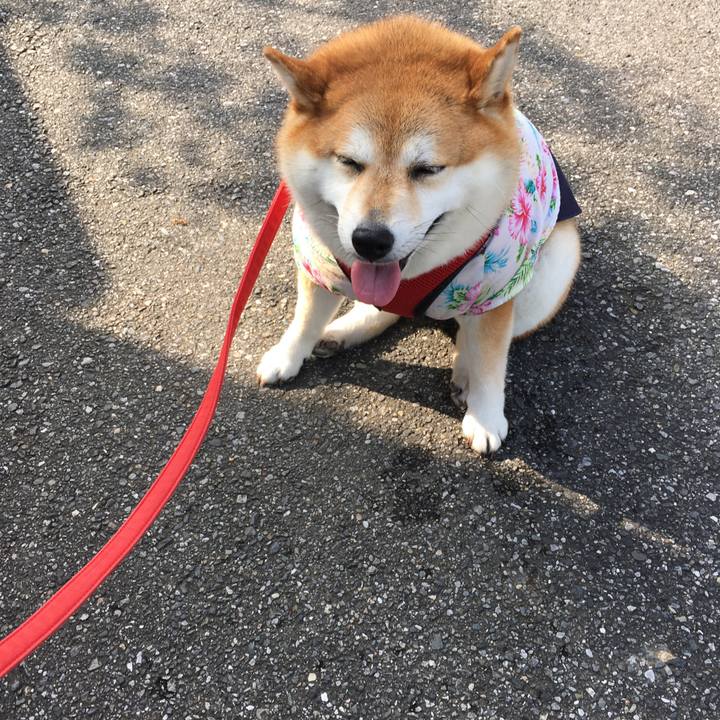 F7b3b3f0 2997 4562 832e a5ee3d35bb22 1596671994223