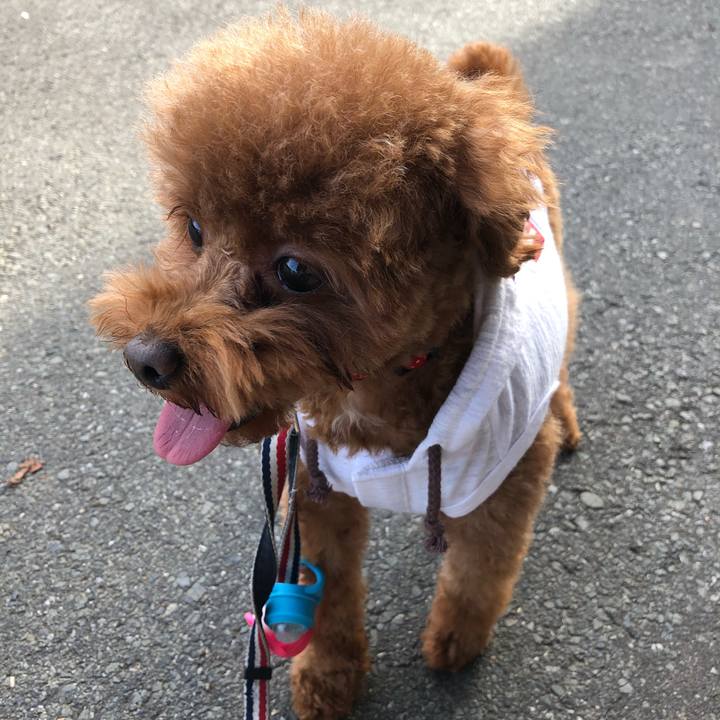 F7b3c7c7 48a9 462e b2a9 e97954e7d9fb 1575093140453