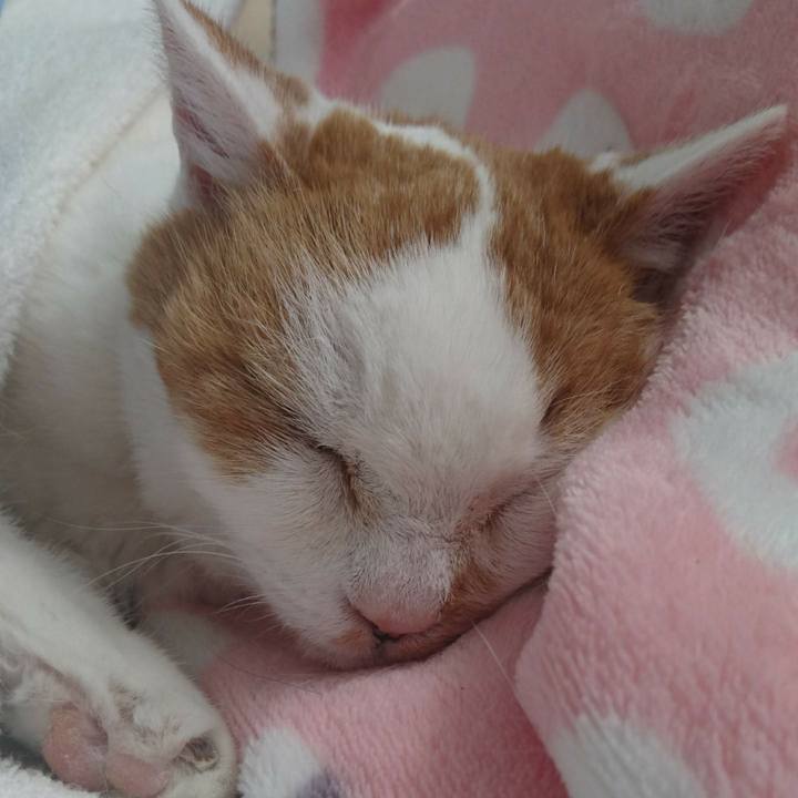 F7b3ccef d648 487a 9788 f3c2920b4ad2 1588569887781