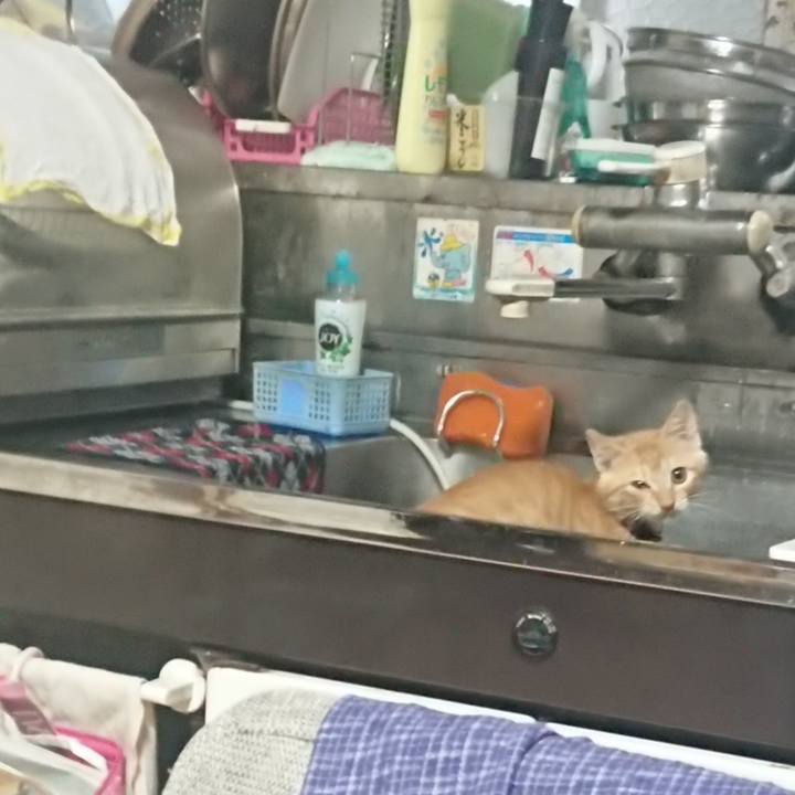 F7b3db58 b7a7 45d3 8d1c 6f7405bd2545 1630960292581