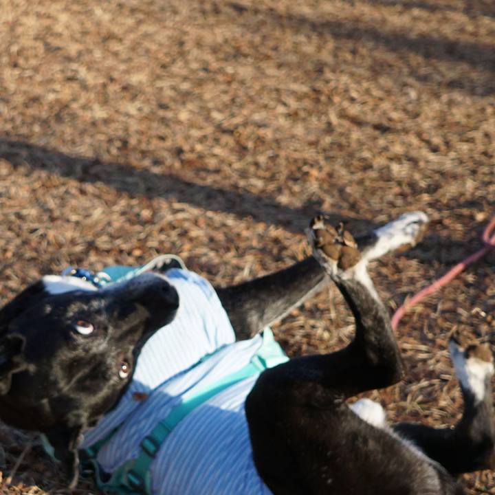 F7b3f6ed 1a5b 4cf6 8b26 0fed6fcce63b 1771201220339