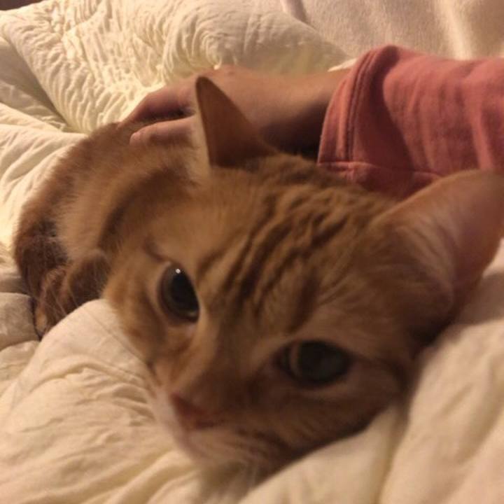 F7b3fbc1 dfe8 43b9 bbdf 40aa723bedc0 1549927415931